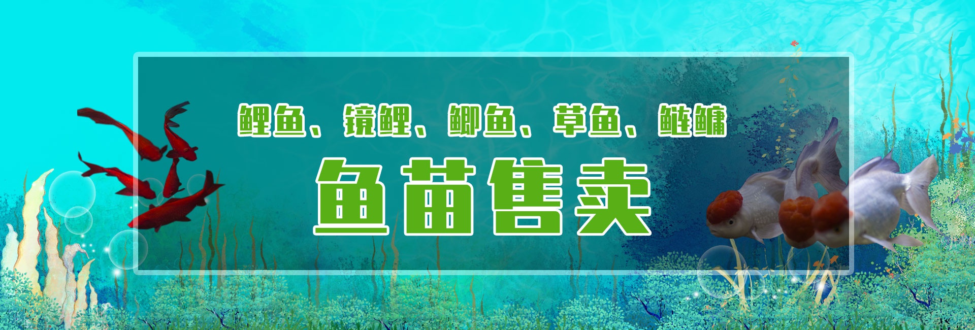 &#112;&#112;&#30005;&#23376;&#40;&#20013;&#22269;&#21306;&#41;&#23448;&#26041;&#32593;&#31449;