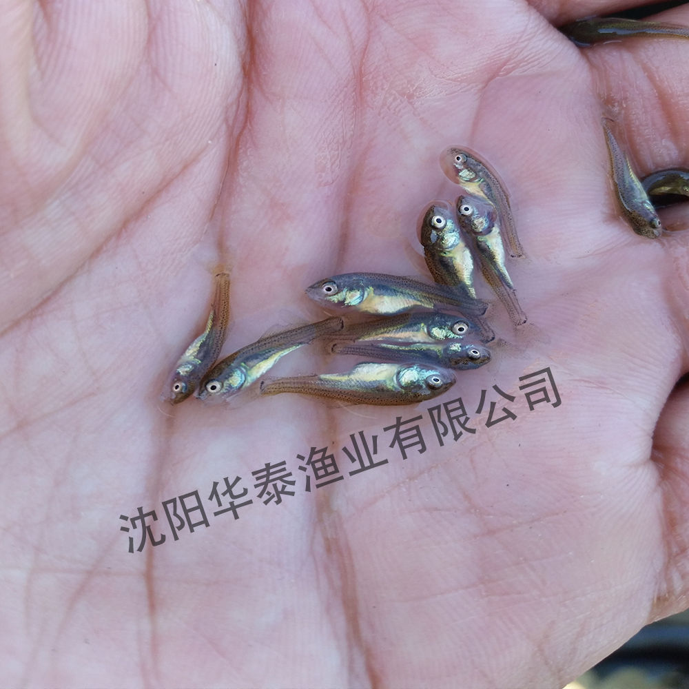 &#112;&#112;&#30005;&#23376;&#40;&#20013;&#22269;&#21306;&#41;&#23448;&#26041;&#32593;&#31449;