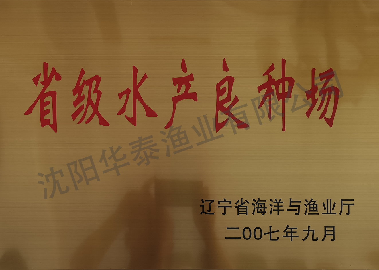 &#112;&#112;&#30005;&#23376;&#40;&#20013;&#22269;&#21306;&#41;&#23448;&#26041;&#32593;&#31449;