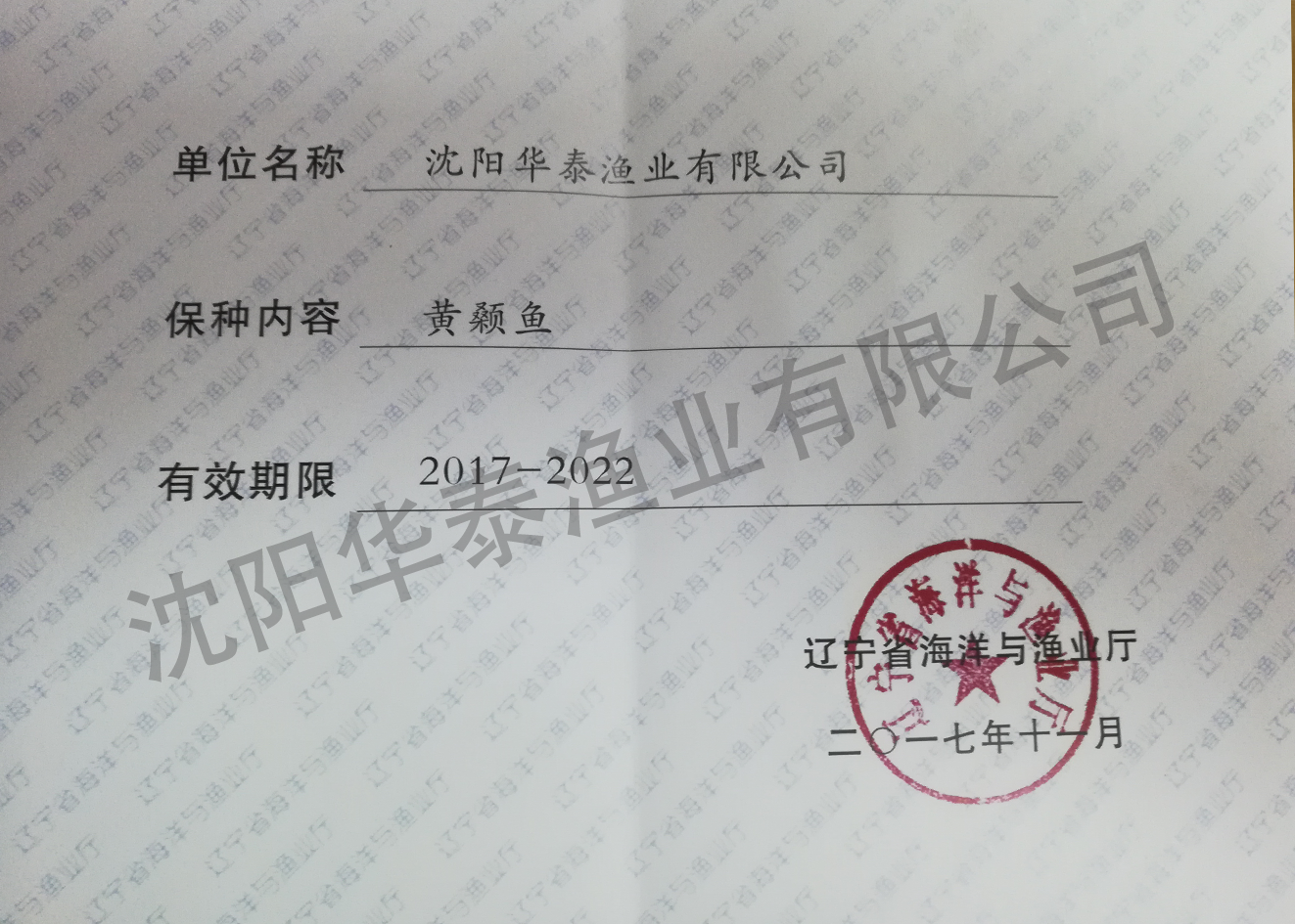 &#112;&#112;&#30005;&#23376;&#40;&#20013;&#22269;&#21306;&#41;&#23448;&#26041;&#32593;&#31449;