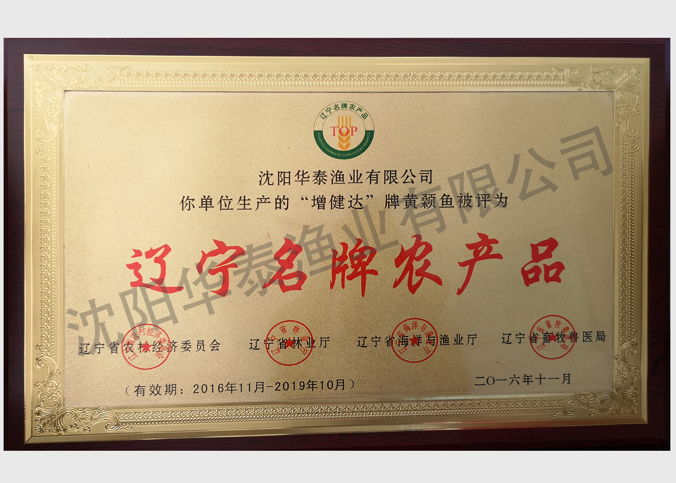 &#112;&#112;&#30005;&#23376;&#40;&#20013;&#22269;&#21306;&#41;&#23448;&#26041;&#32593;&#31449;